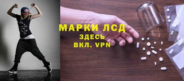 ПСИЛОЦИБИНОВЫЕ ГРИБЫ Гусев