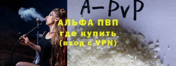ПСИЛОЦИБИНОВЫЕ ГРИБЫ Гусев