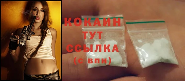 ПСИЛОЦИБИНОВЫЕ ГРИБЫ Гусев
