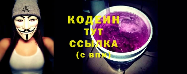 ПСИЛОЦИБИНОВЫЕ ГРИБЫ Гусев