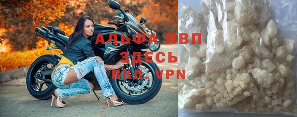 ПСИЛОЦИБИНОВЫЕ ГРИБЫ Гусев
