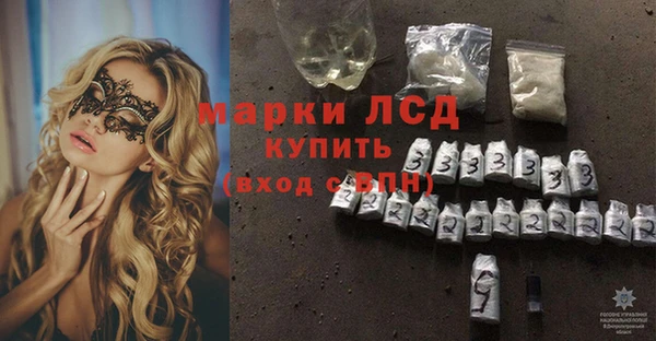 ПСИЛОЦИБИНОВЫЕ ГРИБЫ Гусев