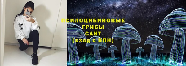 ешки Гусиноозёрск