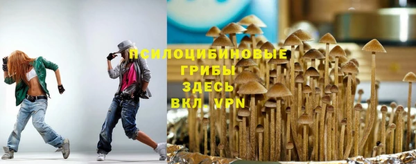 ПСИЛОЦИБИНОВЫЕ ГРИБЫ Гусев
