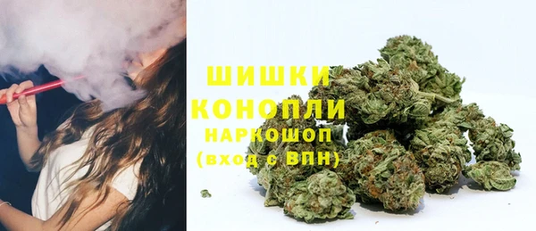 ешки Гусиноозёрск