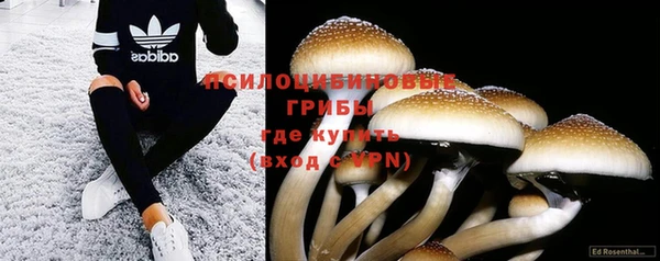 каннабис Гусь-Хрустальный